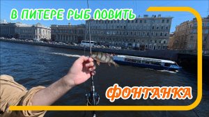 В Питере рыб ловить. Рыбалка в центре города. Фонтанка
