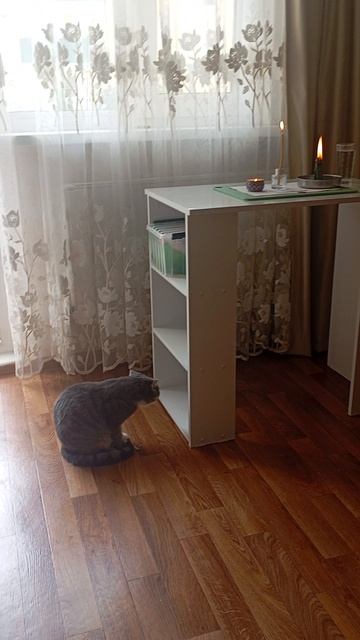 Контроль за свечами