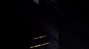1000042450.mp4