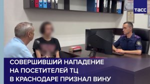 Совершивший нападение на посетителей ТЦ в Краснодаре признал вину