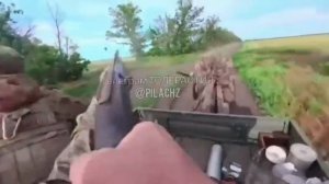 Обычные будни