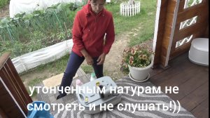 6 соток 18 июня 2026 года. Хроника.