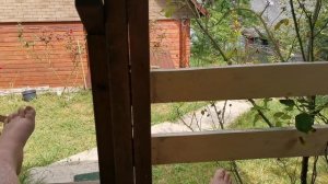 СОЧИ ГОРНОЕ ЛОО ВЕЧЕР 21.07.2026