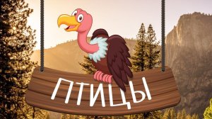 ПТИЦЫ - развивающие мультики для малышей. Учим животных вместе! 🐦