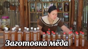 Заготавливаем 25 кг меда для продажи на рынке и сажаем арбузы.