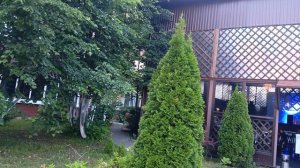 День медицинского работника, мой профессиональный праздник. 💊🩺💉