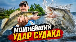 МОЩНЕЙШИЙ УДАР судака! А потом я попал в КИПЯЩИЙ КОТЕЛ