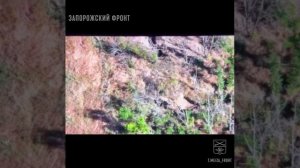 Развед рота 291 МСП продолжает лишать ВСУшников покоя. Работают точечно и профессионально !!!