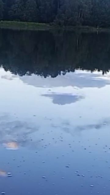 Облагородить пруды . смотреть онлайн