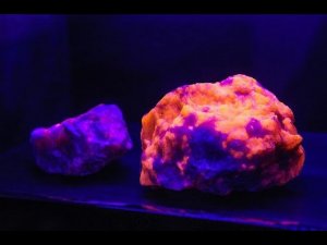Эти камни СВЕТЯТСЯ в темноте! Уникальные минералы под УФ-лампой