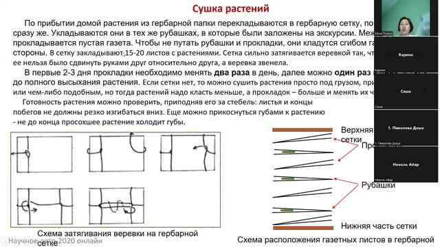 Создание гербария