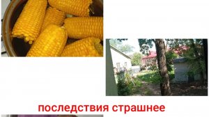 влог/все гораздо хуже/ наверное оповещение/ болталка