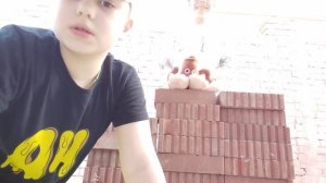 РВ 3 дом из кирпичей 2