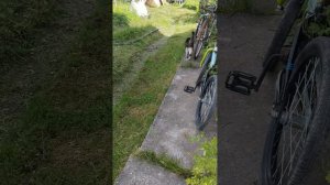 НЕ КОФЕ, А КАША! Секрет идеального утра на Зеленой даче (Барсик знает).