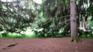 Национальный парк «Кисловодский». 21.06.2026 г.