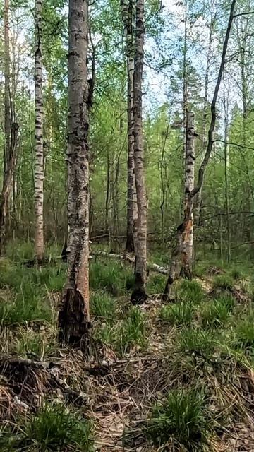 Достаю находку
