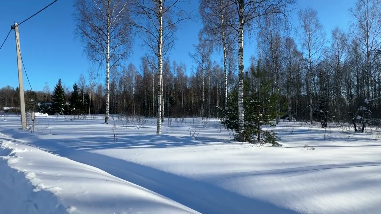 Зимняя сказка. Земельный участок 28 соток ИЖС в Шаховской - лес 🌳- газ- электричество смотреть онлайн