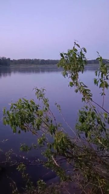 🎣 Ночная рыбалка (ч.2) 👍  брат Андрейка 😍 Люблю закат - предвестник ночи. 🤩