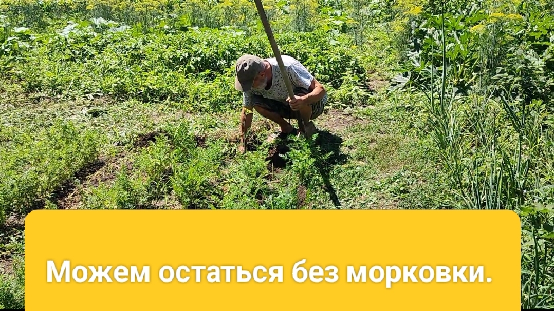 Наш день. Обед и ужин. Жизнь на пенсии. смотреть онлайн