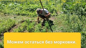 Наш день. Обед и ужин. Жизнь на пенсии.