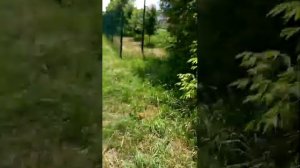 сидим на дереве койфуем