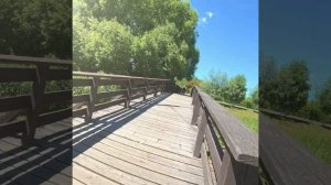 Велопрогулка