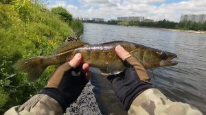 МОСКВА РЕКА СПИННИНГ МИКРОДЖИГ ОСНАСТКА ФРИ РИГ ЛОВЛЯ ДЖИГОМ