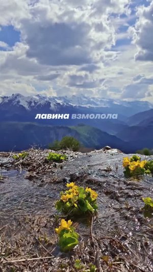 Лепестки гор #артемийбоголюбов #поэзия #горы #грузия