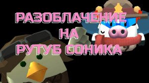 РАЗОБЛАЧЕНИЕ НА РУТУБ СОНИКА (факты и аргументы)