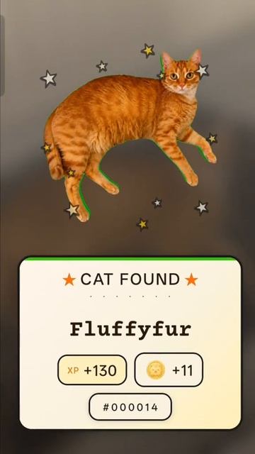 Вышло приложение CatchCat — почти Pokemon G0. только с настояшими котами. смотреть онлайн