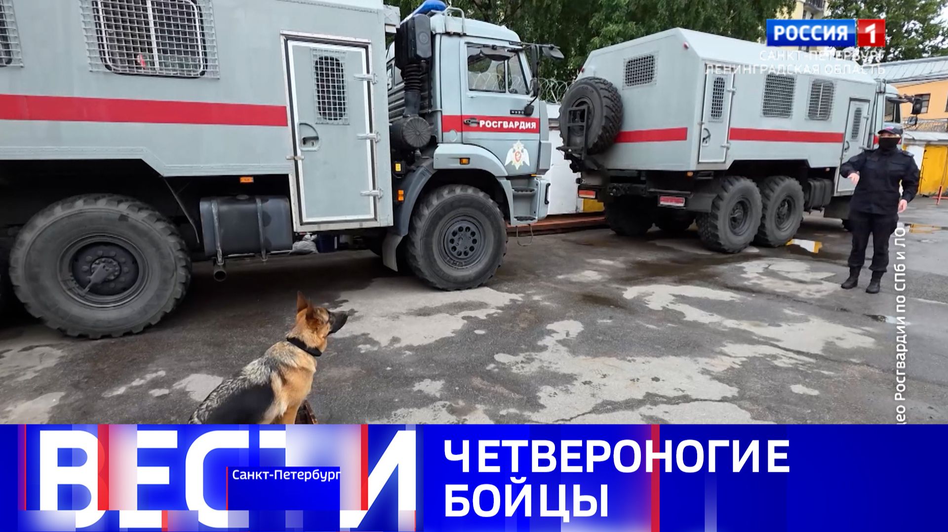 Вести Санкт-Петербург. Выпуск 08.00 от 21.06.2026 смотреть онлайн