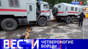 Вести Санкт-Петербург. Выпуск 08.00 от 21.06.2026
