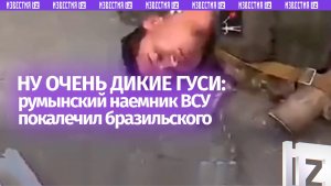 Наемники ВСУ убивают друг друга: румынский боевик покалечил бразильского боевика коллегу