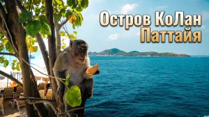 🏖️ Какой пляж лучше? Остров КоЛан в Паттайе.