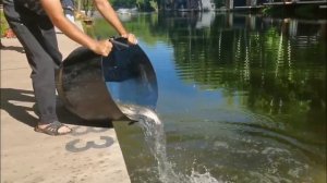 VID_20260621_100018