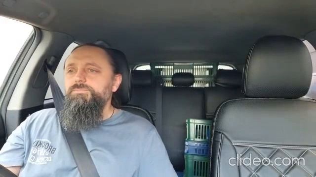 Когда любовь Богородицы растворяет скорбь