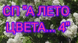 СП «А лето цвета...4». Участник 23