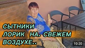 САМВЕЛ АДАМЯН, СЫТНИКИ, ЛОРИК НА СВЕЖЕМ ВОЗДУХЕ..