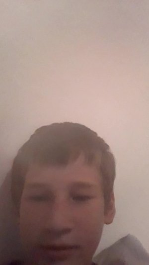mava