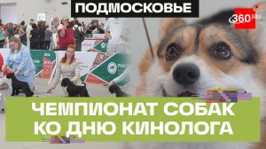 Национальный чемпионат собак «Слава России 2026» прошел в Одинцове