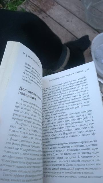 Не рычите на собаку! смотреть онлайн