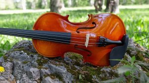 Скрипка музыка. Современная скрипка. Спокойная скрипка. Красивая скрипка. Грустная скрипка без слов