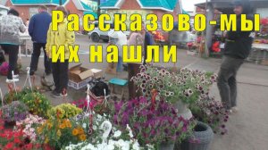 РЫНОК В РАССКАЗОВО /МЫ ИХ НАШЛИ /30 и 31 мая и 01 июня 2026