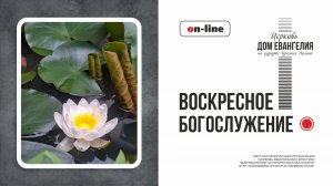 21.06.2026 | Воскресная литургия в Церкви «Дом Евангелия на курорте Красная Поляна».