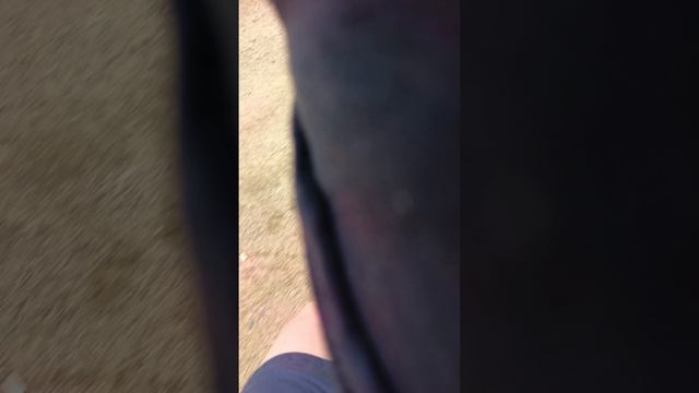 мы тут катаемся смотреть онлайн