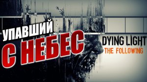 УПАВШИЙ С НЕБЕС | Dying Light: The Following | #6