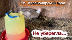 ❤️Влог за два дня/ Грустим, работаем, переживаем, живём дальше