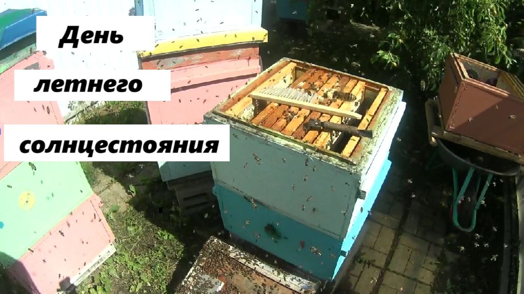 День летнего солнцестояния на пасеке смотреть онлайн