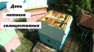 День летнего солнцестояния на пасеке