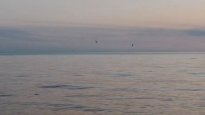 закат на побережье Анапы #Анапа #чёрное_море